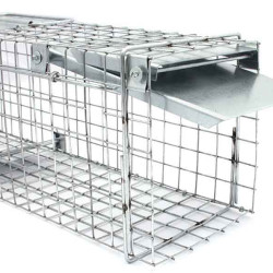 Hum�nna pasca na kuny, potkany a norky � ��inn� a bezpe�n� rie�enie