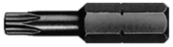 Bit 5/16" TORX 25, ARNDT